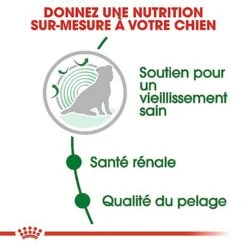 Royal Canin - Croquettes Mini Ageing 12+ Pour Chien Senior - 1,5Kg -Magasin De Fournitures Pour Chiens De Compagnie 67639