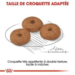 Royal Canin - Croquettes Mini Ageing 12+ Pour Chien Senior - 1,5Kg -Magasin De Fournitures Pour Chiens De Compagnie 67640