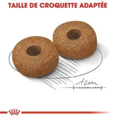 Royal Canin - Croquettes Medium Ageing 10+ Pour Chien Senior - 15Kg -Magasin De Fournitures Pour Chiens De Compagnie 67668