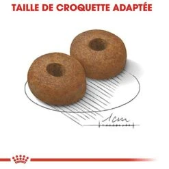 Royal Canin - Croquettes Maxi Ageing 8+ Pour Chien Senior - 15Kg -Magasin De Fournitures Pour Chiens De Compagnie 67675