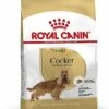 Royal Canin - Croquettes Cocker Pour Chien Adulte 2 Royal Canin - Croquettes Cocker Pour Chien Adulte -Magasin De Fournitures Pour Chiens De Compagnie 67777