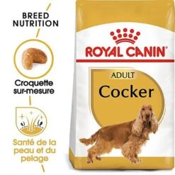 Royal Canin - Croquettes Cocker Pour Chien Adulte -Magasin De Fournitures Pour Chiens De Compagnie 67779