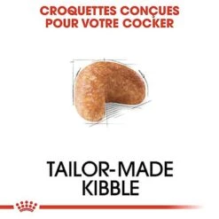 Royal Canin - Croquettes Cocker Pour Chien Adulte -Magasin De Fournitures Pour Chiens De Compagnie 67780