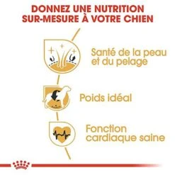 Royal Canin - Croquettes Cocker Pour Chien Adulte -Magasin De Fournitures Pour Chiens De Compagnie 67781