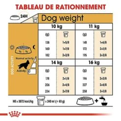 Royal Canin - Croquettes Cocker Pour Chien Adulte -Magasin De Fournitures Pour Chiens De Compagnie 67782