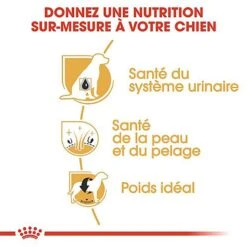 Royal Canin - Croquettes Bichon Frisé Pour Chien Adulte - 1,5Kg -Magasin De Fournitures Pour Chiens De Compagnie 67818