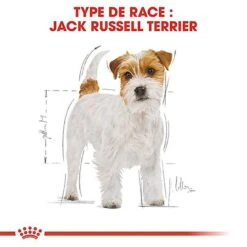 Nouvelles Arrivées -Magasin De Fournitures Pour Chiens De Compagnie 67829