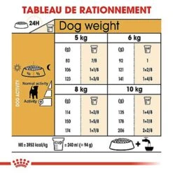Royal Canin - Croquettes Jack Russel Terrier Pour Chien Adulte 13 Royal Canin - Croquettes Jack Russel Terrier Pour Chien Adulte -Magasin De Fournitures Pour Chiens De Compagnie 67832