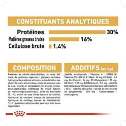 Royal Canin - Croquettes Jack Russel Terrier Pour Chien Adulte 14 Royal Canin - Croquettes Jack Russel Terrier Pour Chien Adulte -Magasin De Fournitures Pour Chiens De Compagnie 67833