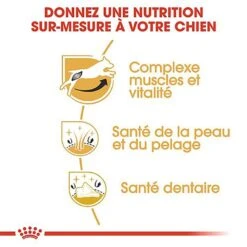 Royal Canin - Croquettes Jack Russel Terrier Pour Chien Adulte 15 Royal Canin - Croquettes Jack Russel Terrier Pour Chien Adulte -Magasin De Fournitures Pour Chiens De Compagnie 67834