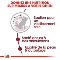 Royal Canin - Croquettes Medium Ageing 10+ Pour Chien Senior - 3Kg -Magasin De Fournitures Pour Chiens De Compagnie 67945