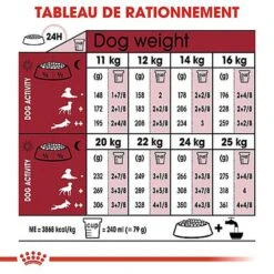 Royal Canin - Croquettes Medium Ageing 10+ Pour Chien Senior - 3Kg -Magasin De Fournitures Pour Chiens De Compagnie 67948