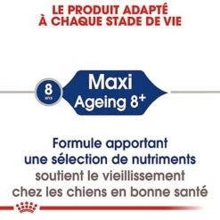 Royal Canin - Croquettes Maxi Ageing 8+ Pour Chien Senior - 3Kg -Magasin De Fournitures Pour Chiens De Compagnie 67950