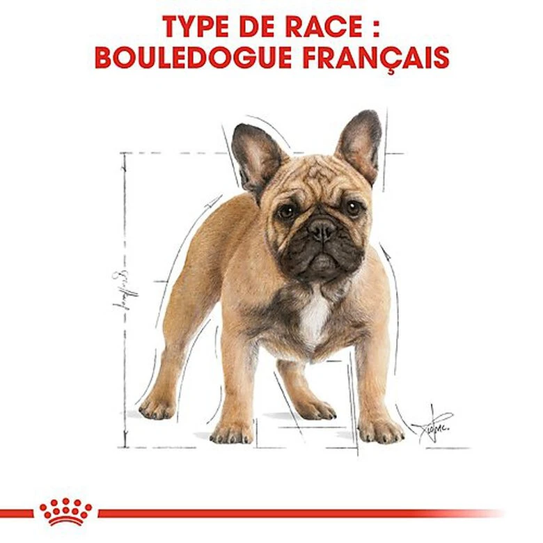 Royal Canin - Croquettes Bouledogue Français Adulte Pour Chien - 9Kg 4 Royal Canin - Croquettes Bouledogue Français Adulte Pour Chien - 9Kg – Image 2