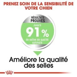 Royal Canin - Croquettes Digestive Care Pour Chien - 3Kg -Magasin De Fournitures Pour Chiens De Compagnie 68006