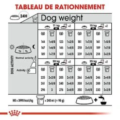 Royal Canin - Croquettes Digestive Care Pour Chien - 3Kg -Magasin De Fournitures Pour Chiens De Compagnie 68009