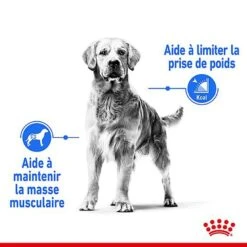 Royal Canin - Croquettes Medium Light Weight Care Pour Chien - 3Kg -Magasin De Fournitures Pour Chiens De Compagnie 68013