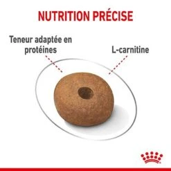 Royal Canin - Croquettes Medium Light Weight Care Pour Chien - 3Kg -Magasin De Fournitures Pour Chiens De Compagnie 68014