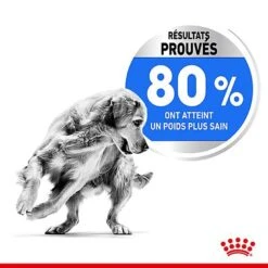 Royal Canin - Croquettes Medium Light Weight Care Pour Chien - 3Kg -Magasin De Fournitures Pour Chiens De Compagnie 68015