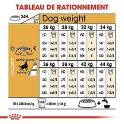 Royal Canin - Croquettes Berger Allemand Pour Chien Adulte - 11Kg 14 Royal Canin - Croquettes Berger Allemand Pour Chien Adulte - 11Kg -Magasin De Fournitures Pour Chiens De Compagnie 68078