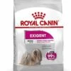 Royal Canin - Croquettes Mini Exigent Pour Chien - 3Kg -Magasin De Fournitures Pour Chiens De Compagnie 68080