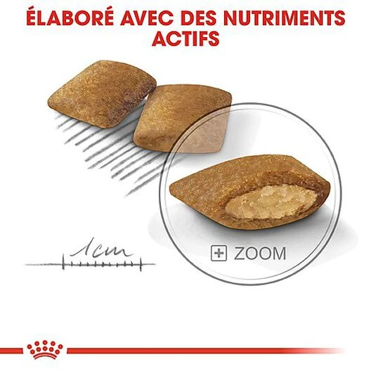 Royal Canin - Croquettes Mini Exigent Pour Chien - 3Kg 7 Royal Canin - Croquettes Mini Exigent Pour Chien - 3Kg – Image 5