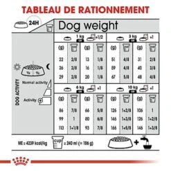 Royal Canin - Croquettes Mini Exigent Pour Chien - 3Kg 16 Royal Canin - Croquettes Mini Exigent Pour Chien - 3Kg -Magasin De Fournitures Pour Chiens De Compagnie 68086