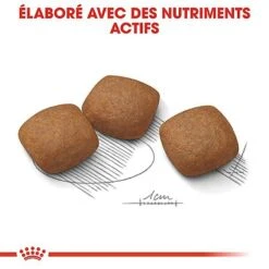 Royal Canin - Croquettes Maxi Joint Care Pour Chien - 10Kg -Magasin De Fournitures Pour Chiens De Compagnie 68092