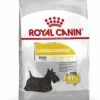 Royal Canin - Croquettes Mini Dermacomfort Pour Chien - 2Kg -Magasin De Fournitures Pour Chiens De Compagnie 68095