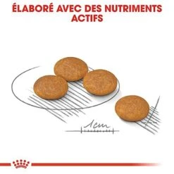 Royal Canin - Croquettes Mini Dermacomfort Pour Chien - 2Kg -Magasin De Fournitures Pour Chiens De Compagnie 68100
