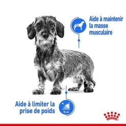 Royal Canin - Croquettes Mini Light Weight Care Pour Chien - 3Kg 12 Royal Canin - Croquettes Mini Light Weight Care Pour Chien - 3Kg -Magasin De Fournitures Pour Chiens De Compagnie 68138