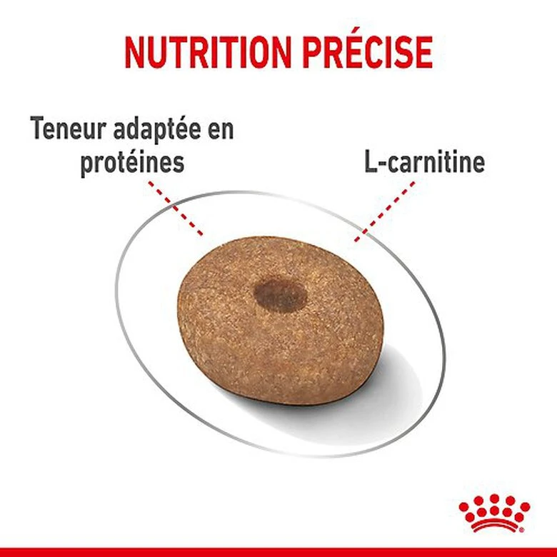 Royal Canin - Croquettes Mini Light Weight Care Pour Chien - 3Kg 7 Royal Canin - Croquettes Mini Light Weight Care Pour Chien - 3Kg – Image 5