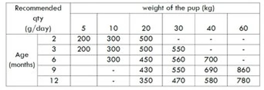 Nath - Croquettes Medium/Maxi Puppy Au Poulet Pour Chiot - 12Kg 4 Nath - Croquettes Medium/Maxi Puppy Au Poulet Pour Chiot - 12Kg – Image 2