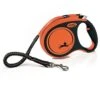 Flexi - Laisse à Enrouleur Xtreme Sangle Pour Chien - L -Magasin De Fournitures Pour Chiens De Compagnie 68323