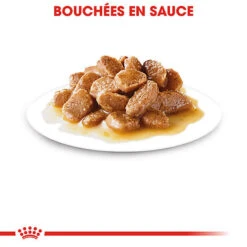 Royal Canin - Sachets Mini Ageing 12+ En Sauce Pour Chien - 12X85g -Magasin De Fournitures Pour Chiens De Compagnie 68354