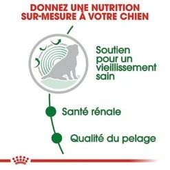 Royal Canin - Sachets Mini Ageing 12+ En Sauce Pour Chien - 12X85g -Magasin De Fournitures Pour Chiens De Compagnie 68355