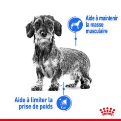 Royal Canin - Sachets Ultra Light En Mousse Pour Chien - 12X85g -Magasin De Fournitures Pour Chiens De Compagnie 68378
