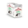 Royal Canin - Sachets Digestive Care En Mousse Pour Chien - 12X85g -Magasin De Fournitures Pour Chiens De Compagnie 68391