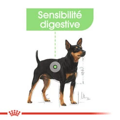 Royal Canin - Sachets Digestive Care En Mousse Pour Chien - 12X85g -Magasin De Fournitures Pour Chiens De Compagnie 68392