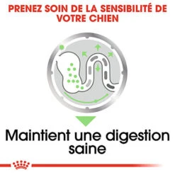 Royal Canin - Sachets Digestive Care En Mousse Pour Chien - 12X85g -Magasin De Fournitures Pour Chiens De Compagnie 68393