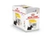 Royal Canin - Sachets Dermacomfort En Mousse Pour Chien - 12X85g 1 Royal Canin - Sachets Dermacomfort En Mousse Pour Chien - 12X85g -Magasin De Fournitures Pour Chiens De Compagnie 68396