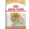 Royal Canin - Croquettes Labrador Adult 5+ Pour Chien - 12Kg -Magasin De Fournitures Pour Chiens De Compagnie 68774