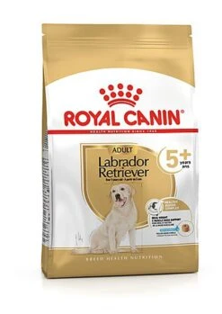 Royal Canin - Croquettes Labrador Adult 5+ Pour Chien - 12Kg