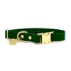 Pop Dog - Collier Elégant Vert Pour Chien - M 2 Pop Dog - Collier Elégant Vert Pour Chien - M -Magasin De Fournitures Pour Chiens De Compagnie 68962 1