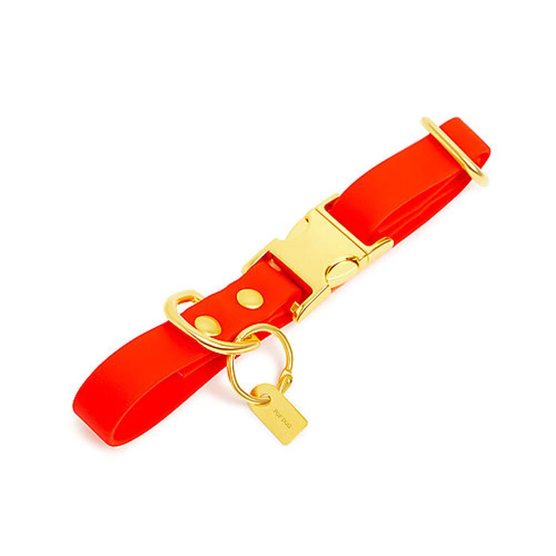 Pop Dog - Collier Foufou Orange Pour Chien - M 3 Pop Dog - Collier Foufou Orange Pour Chien - M