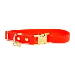 Pop Dog - Collier Foufou Orange Pour Chien - M 7 Pop Dog - Collier Foufou Orange Pour Chien - M -Magasin De Fournitures Pour Chiens De Compagnie 68968