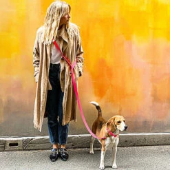 Pop Dog - Collier Glouton Rose Pour Chien - S -Magasin De Fournitures Pour Chiens De Compagnie 68975