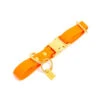 Pop Dog - Collier Pitchoune Orange Pour Chien - M -Magasin De Fournitures Pour Chiens De Compagnie 68985