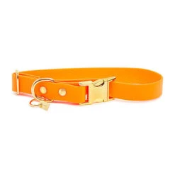 Pop Dog - Collier Pitchoune Orange Pour Chien - S -Magasin De Fournitures Pour Chiens De Compagnie 68987 1