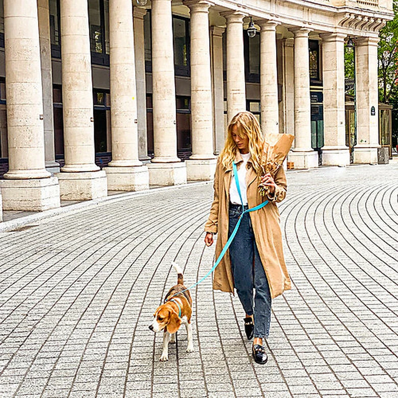 Pop Dog - Laisse Bandoulière Dragueur Bleu Pour Chien - M/L 4 Pop Dog - Laisse Bandoulière Dragueur Bleu Pour Chien - M/L – Image 2